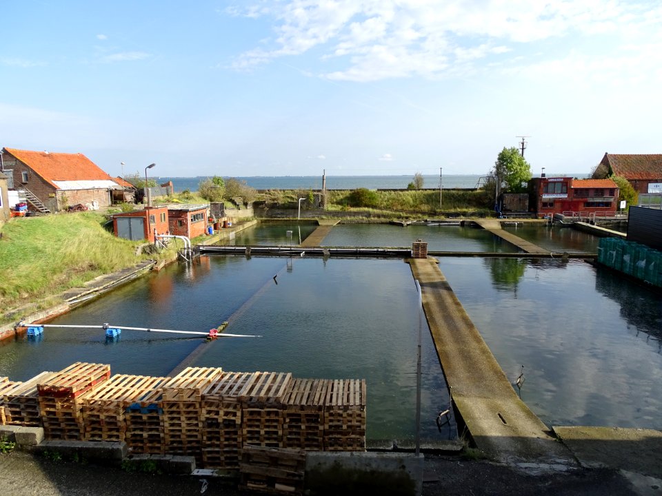 Mosselputten in Yerseke 