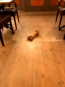 hondenbot in het restaurant (van en niet betalende gast) 