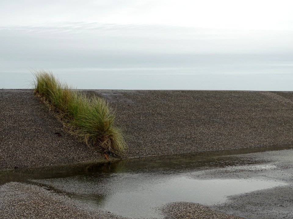de natuur wint altijd 