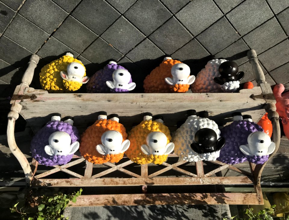 een schaap, twee schapen, drie schapen zzzzz 