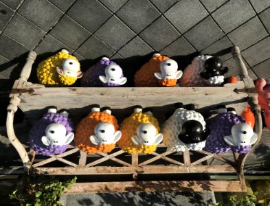 een schaap, twee schapen, drie schapen zzzzz 
