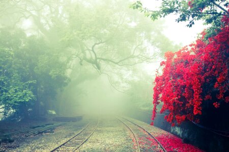 Landscape mist rail
