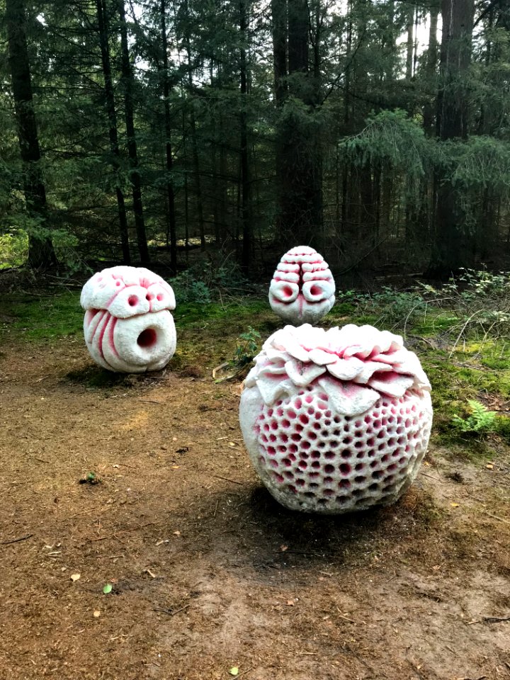 Lustwaranda Tilburg, Eric Sidner, 5 heads 