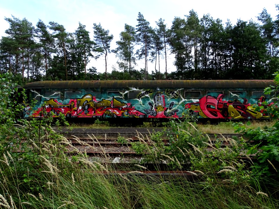 Station As België, plantaardige trein 
