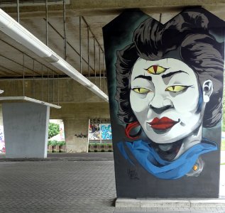Het Zuilenkabinet Boshoverbrug Weert graffiti, artist Simi… photo