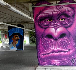 Het Zuilenkabinet Boshoverbrug Weert graffiti, artist Lélé… photo