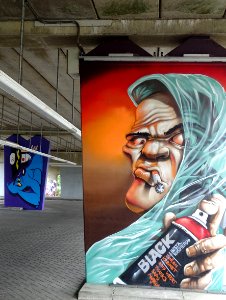 Het Zuilenkabinet Boshoverbrug Weert graffiti, artist Nash… photo