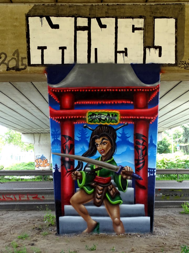 Het Zuilenkabinet Boshoverbrug Weert graffiti, photo