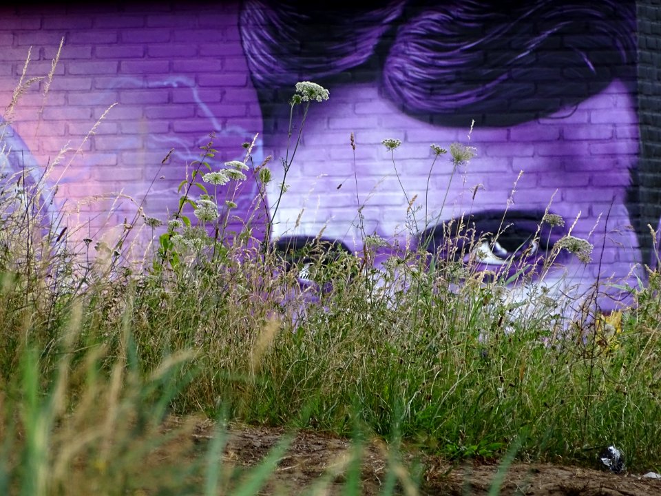 Graffiti Gart Smits and James Jetlag, Weert, hommage Nikol… 