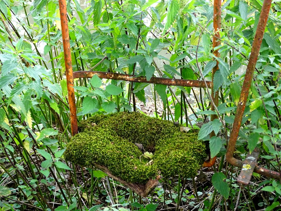 swing set, green sponce bob 