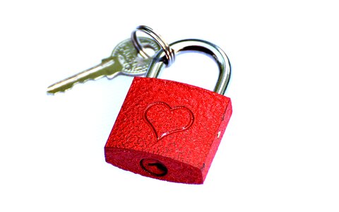 Valentine's day luck symbol