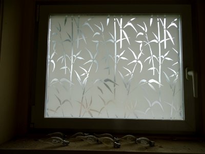 Abandoned, Het Witte Dorp Maasniel, kikkervisjes 