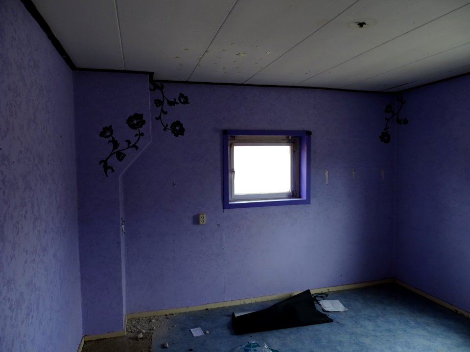 Abandoned, Het Witte Dorp Maasniel, black flowers 