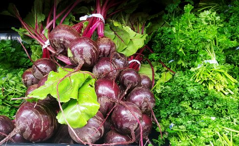 Parsley greens fresh