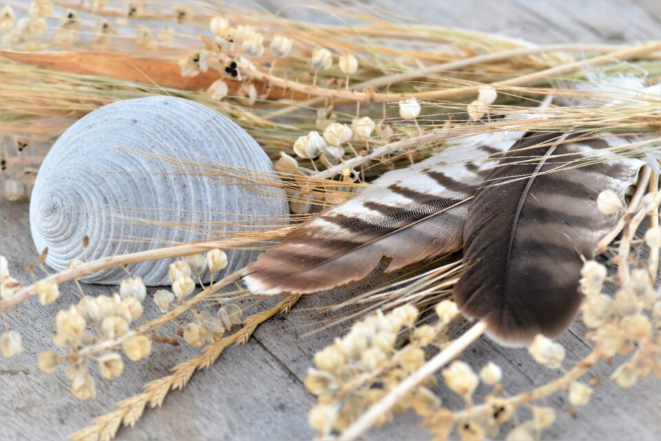 Decorative feather decoration stone