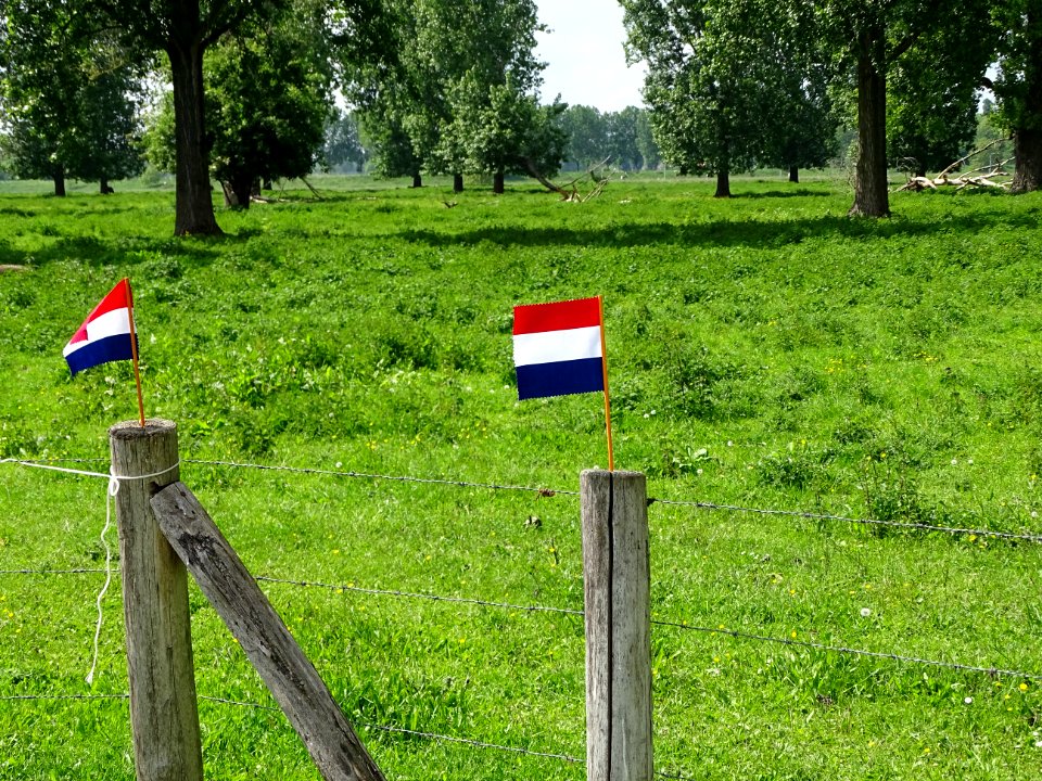 feest bij Mijnheerkens 