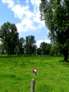 land leve de... 