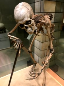 Limburgs Museum Venlo, achter gebleven bezoeker 