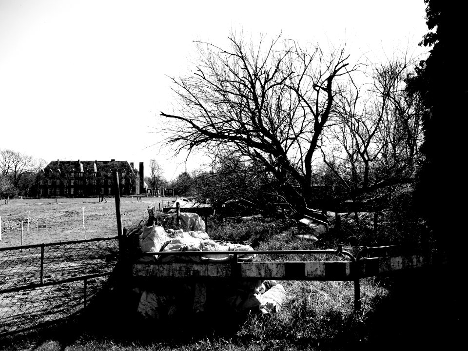 verward landschap Venlo 