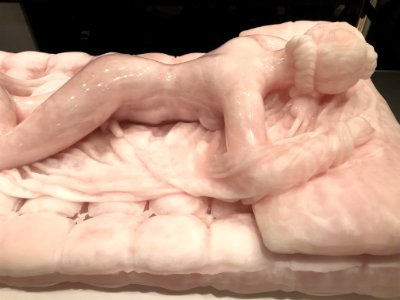 TETAF 2019 Maastricht, Barry X Ball, sleeping hermaphrodit… 