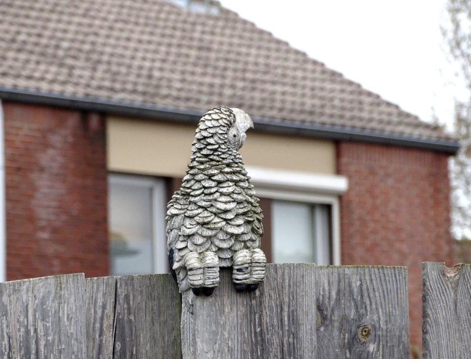 Abandoned, Het Witte Dorp Maasniel, lorre 