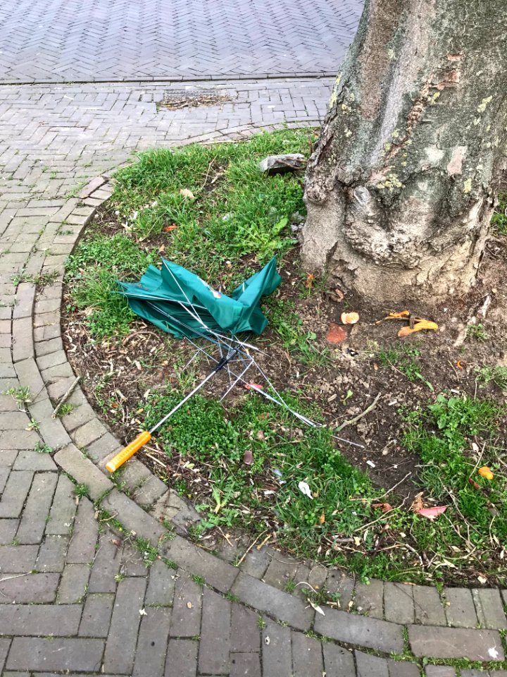 De regen is voorbij 