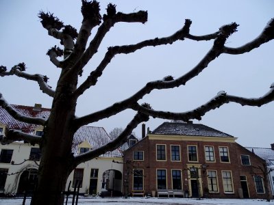 leilinden leiden 