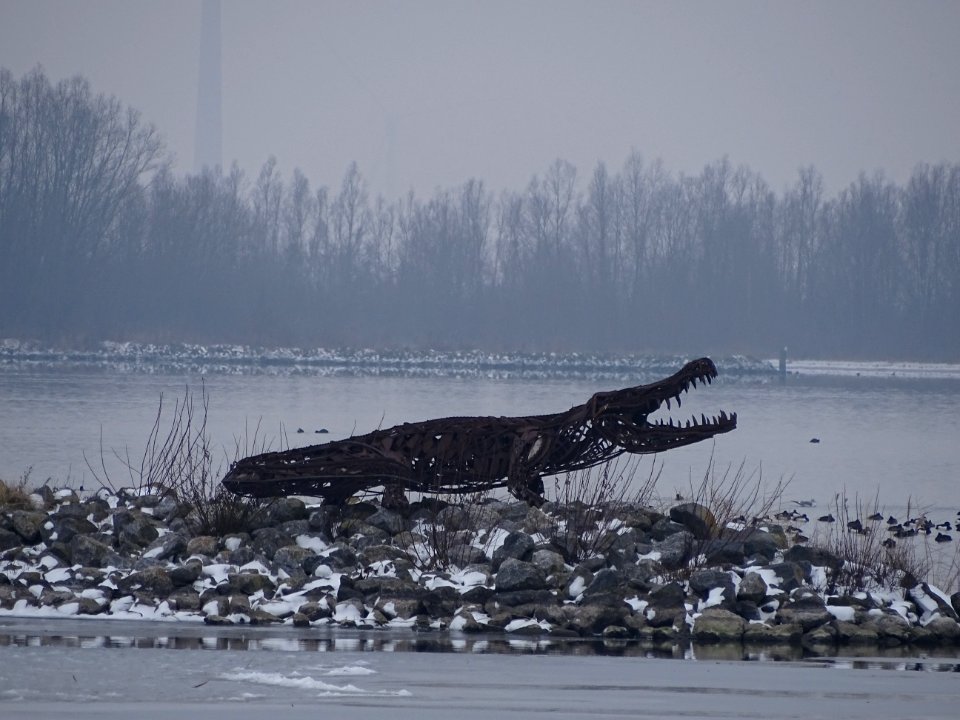 krokodil in harderwijk gespot 