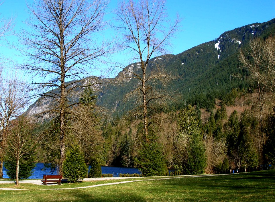 Buntzen in February 01/04