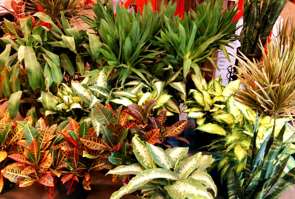 Wasting Time in Home Depot