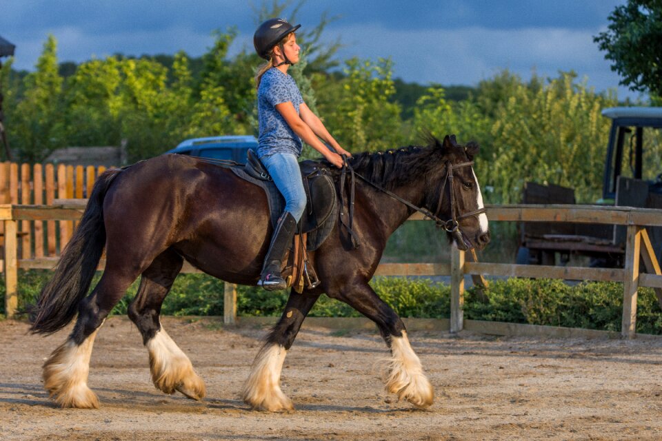 Riding stallion ranch