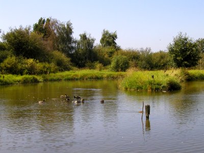 Jay's Pic - Bird Sanctuary 03