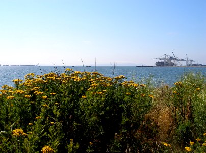Delta Port