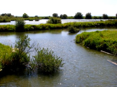 Fraser River Delta 07/08