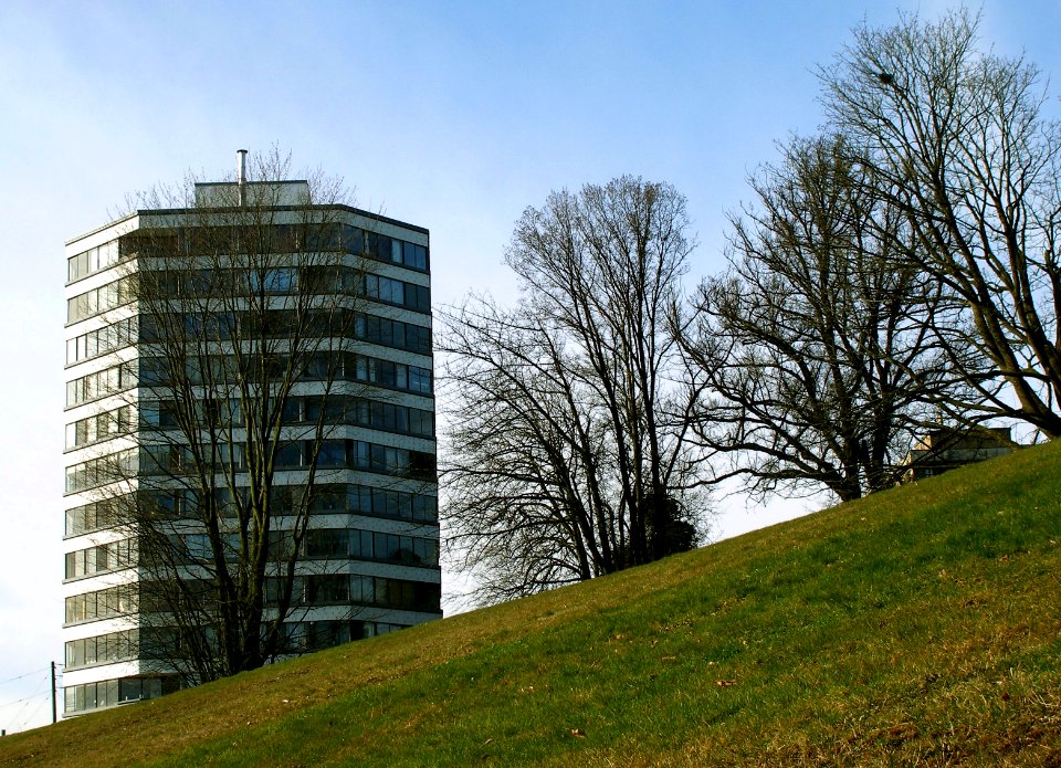 Grassy Slope