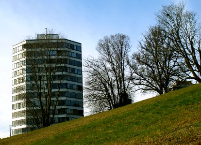 Grassy Slope photo