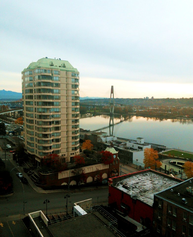 2013_11_11