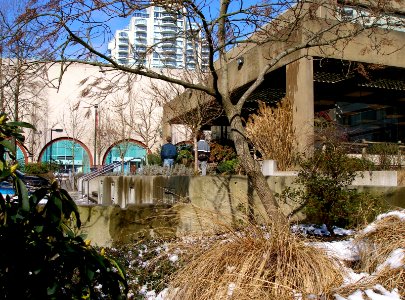 Public Library photo