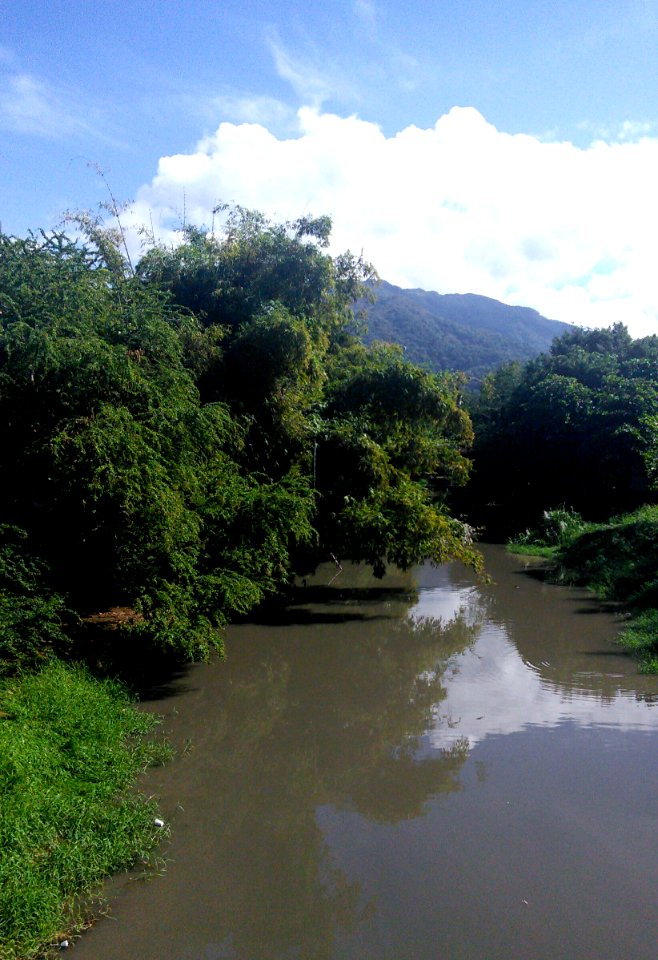 River Cuale After Rain