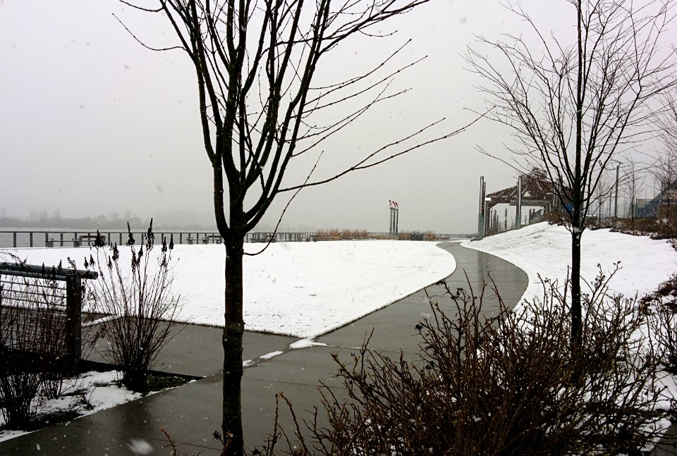 Snow by the River