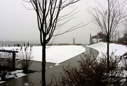Snow by the River