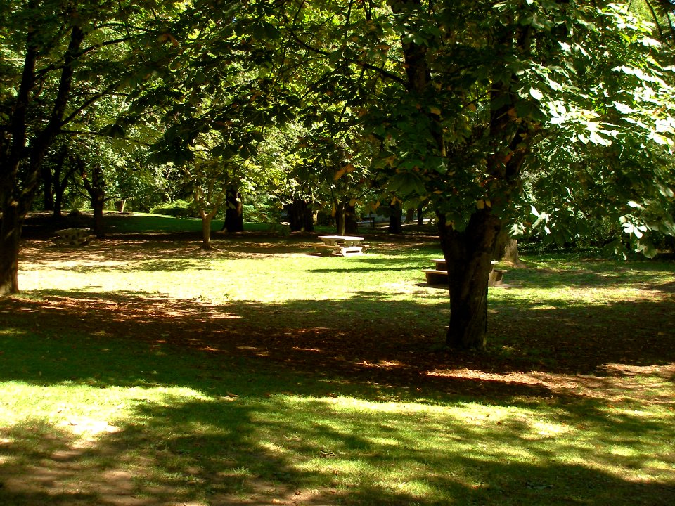 Ripe for Picnicking