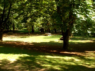 Ripe for Picnicking