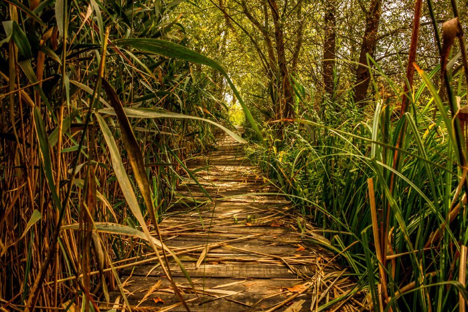 Nature landscape outdoors