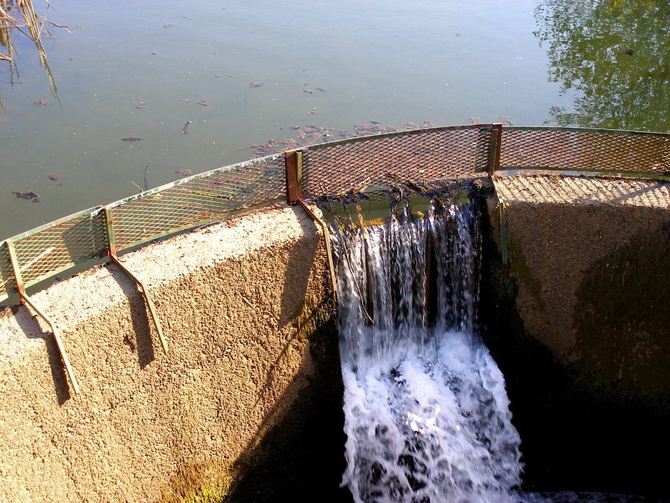 Guichon Creek on Campus 03