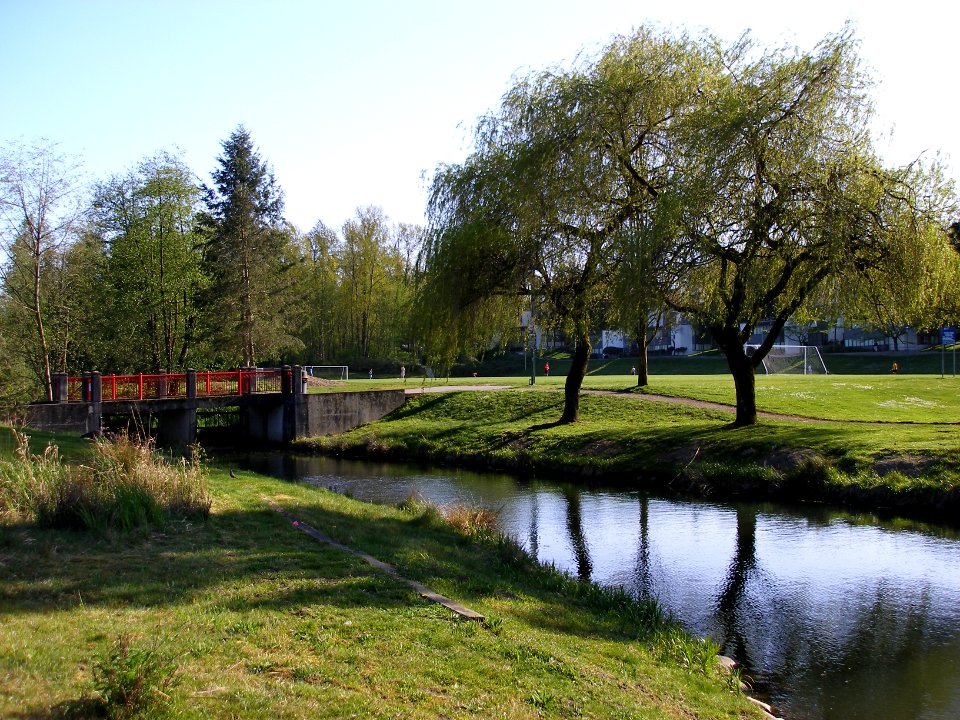 Guichon Creek on Campus 01