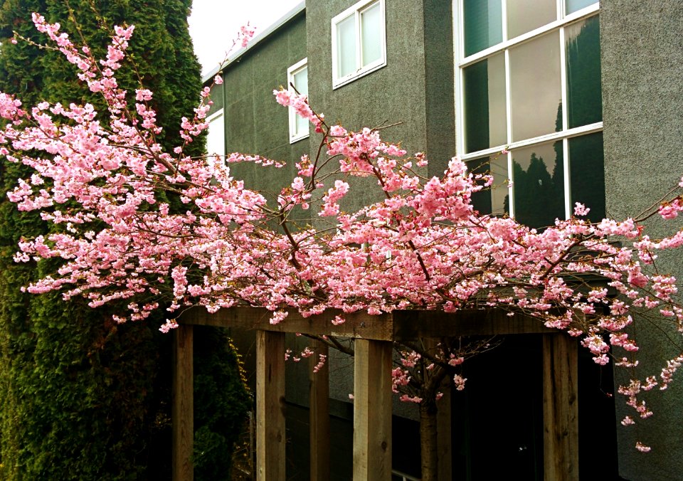 Spring on 4th Street