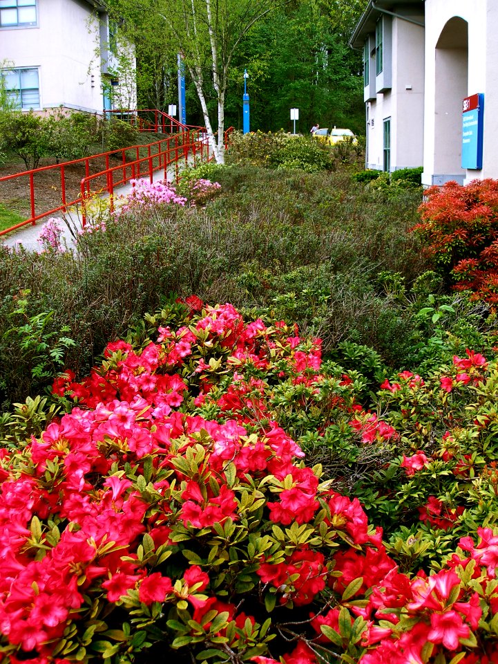 2006_04_26