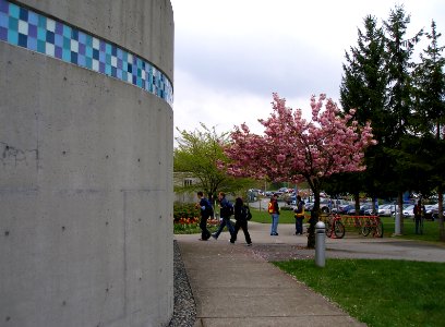 Cross Campus photo