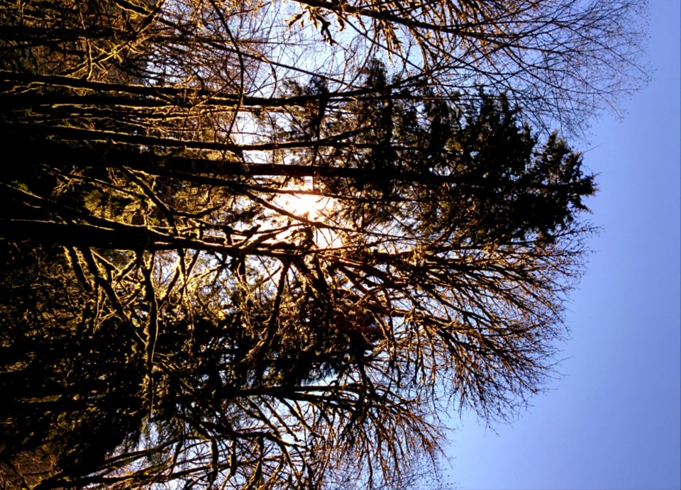 Buntzen Lake on April 1